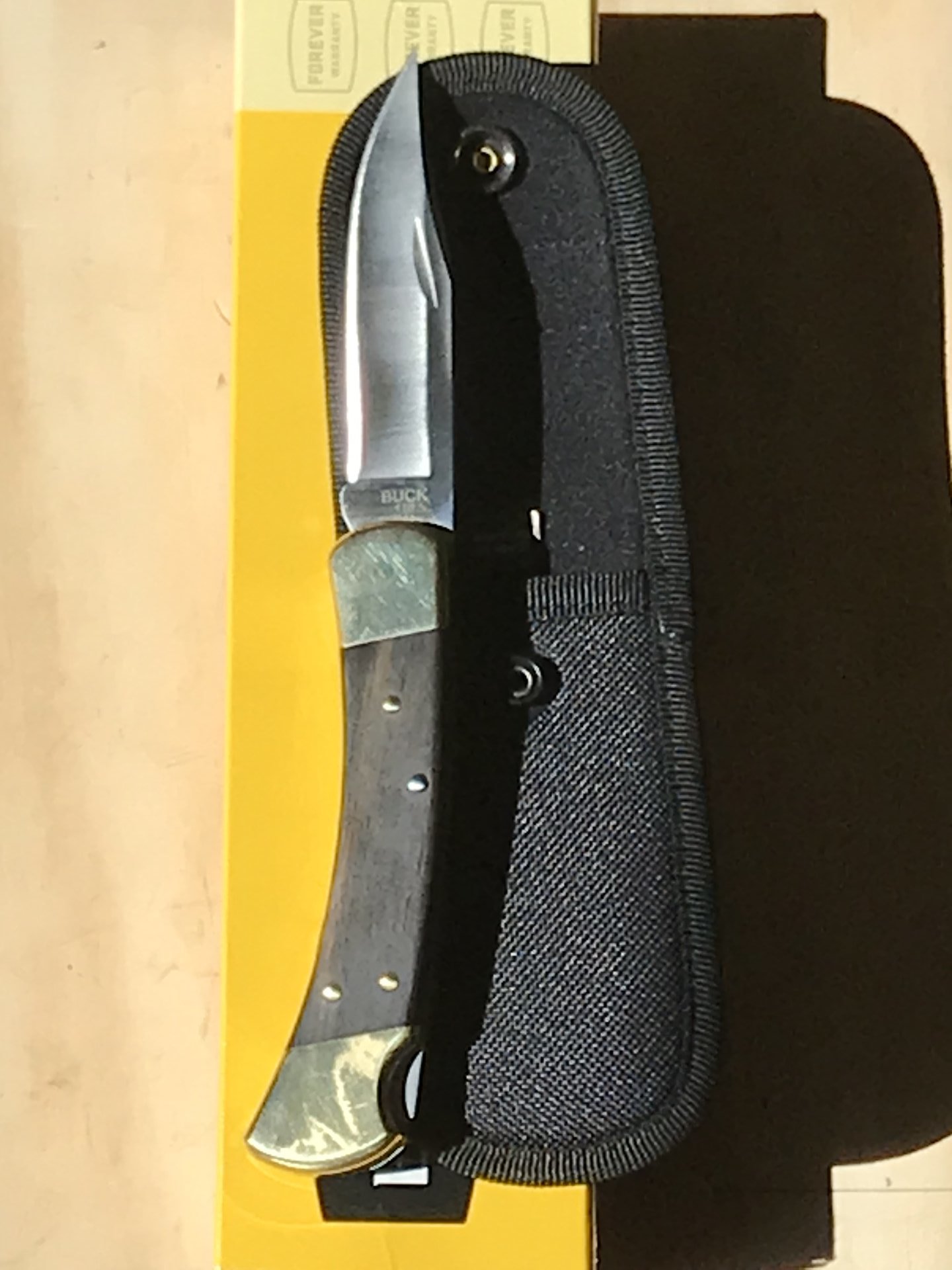 Model 110 Hunter Lockback Buck