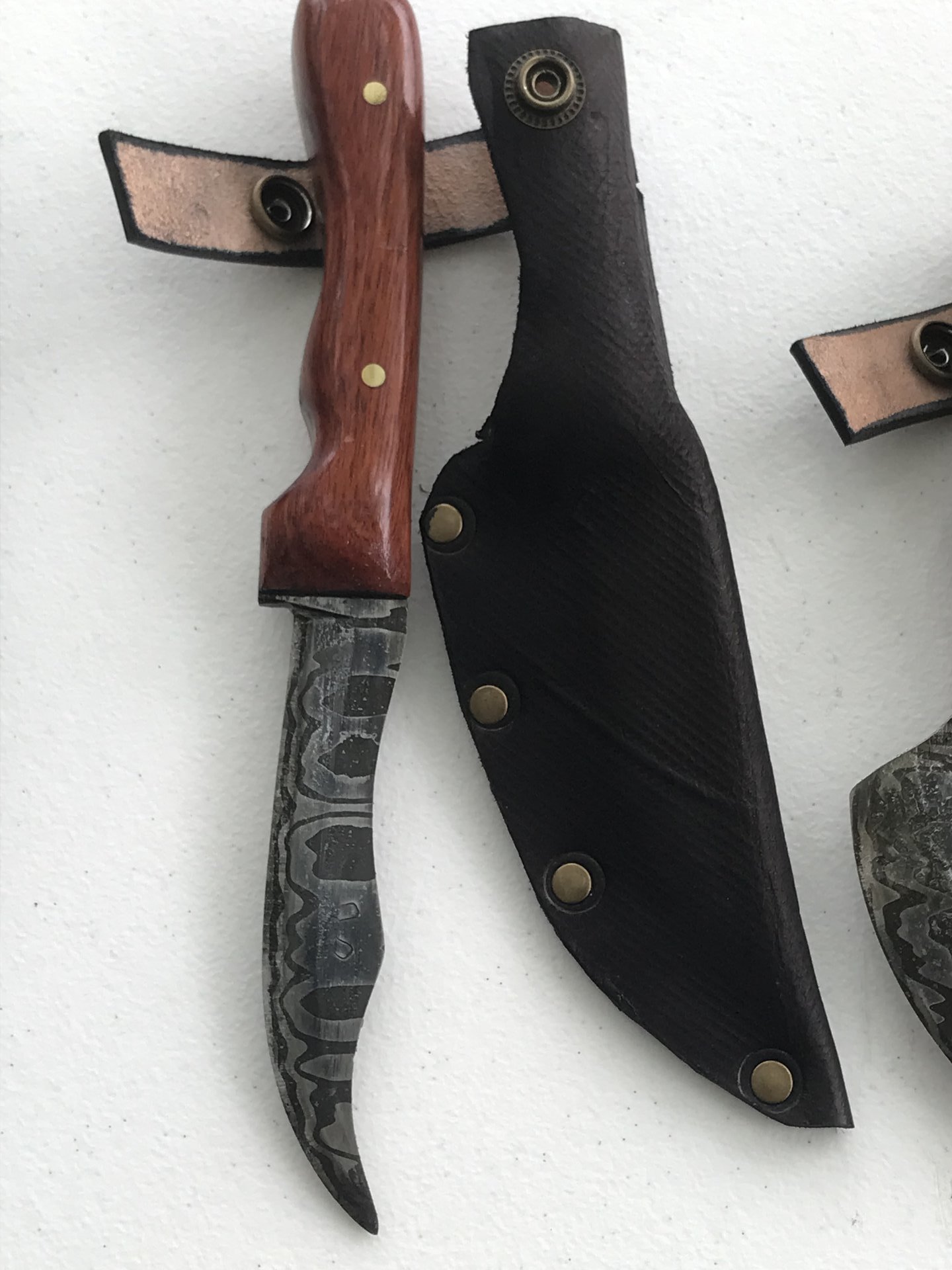 Damascus scoliosis skinner