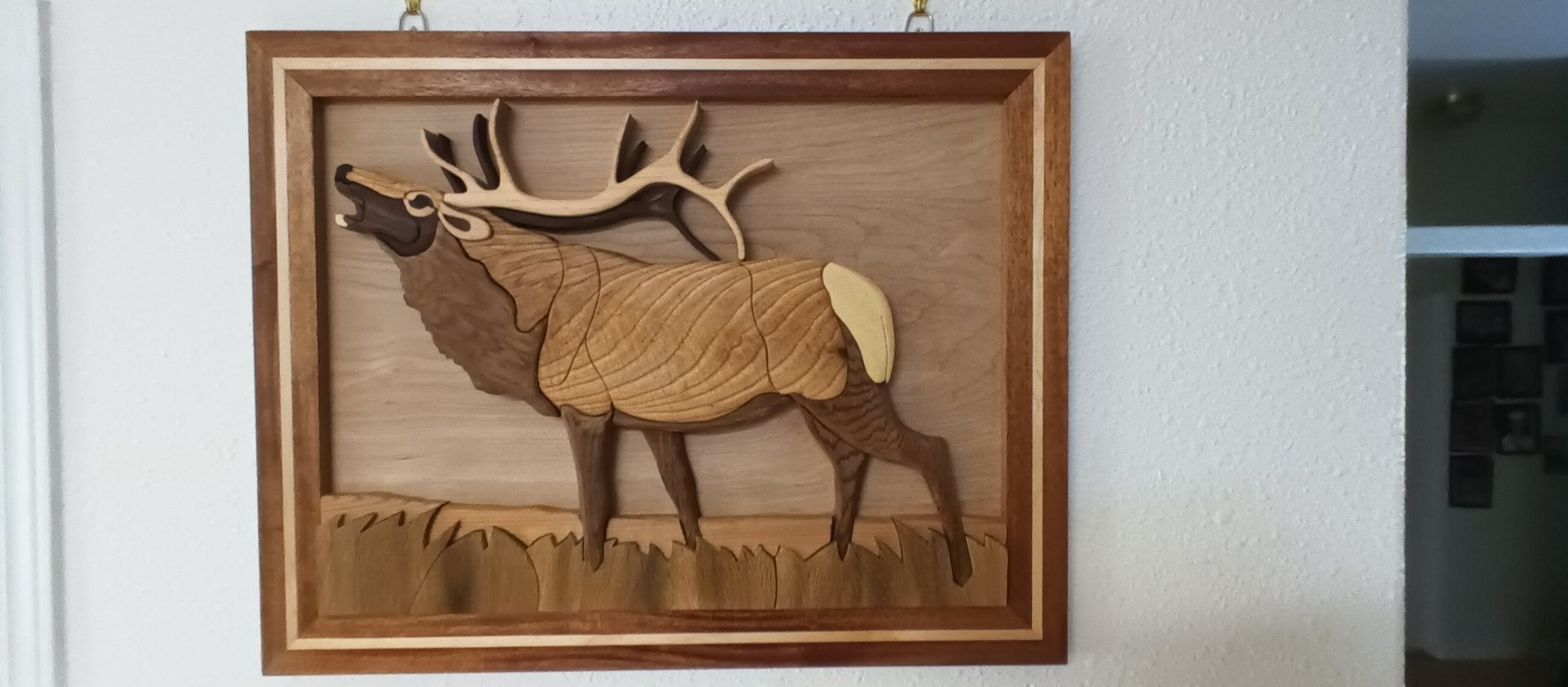 Elk