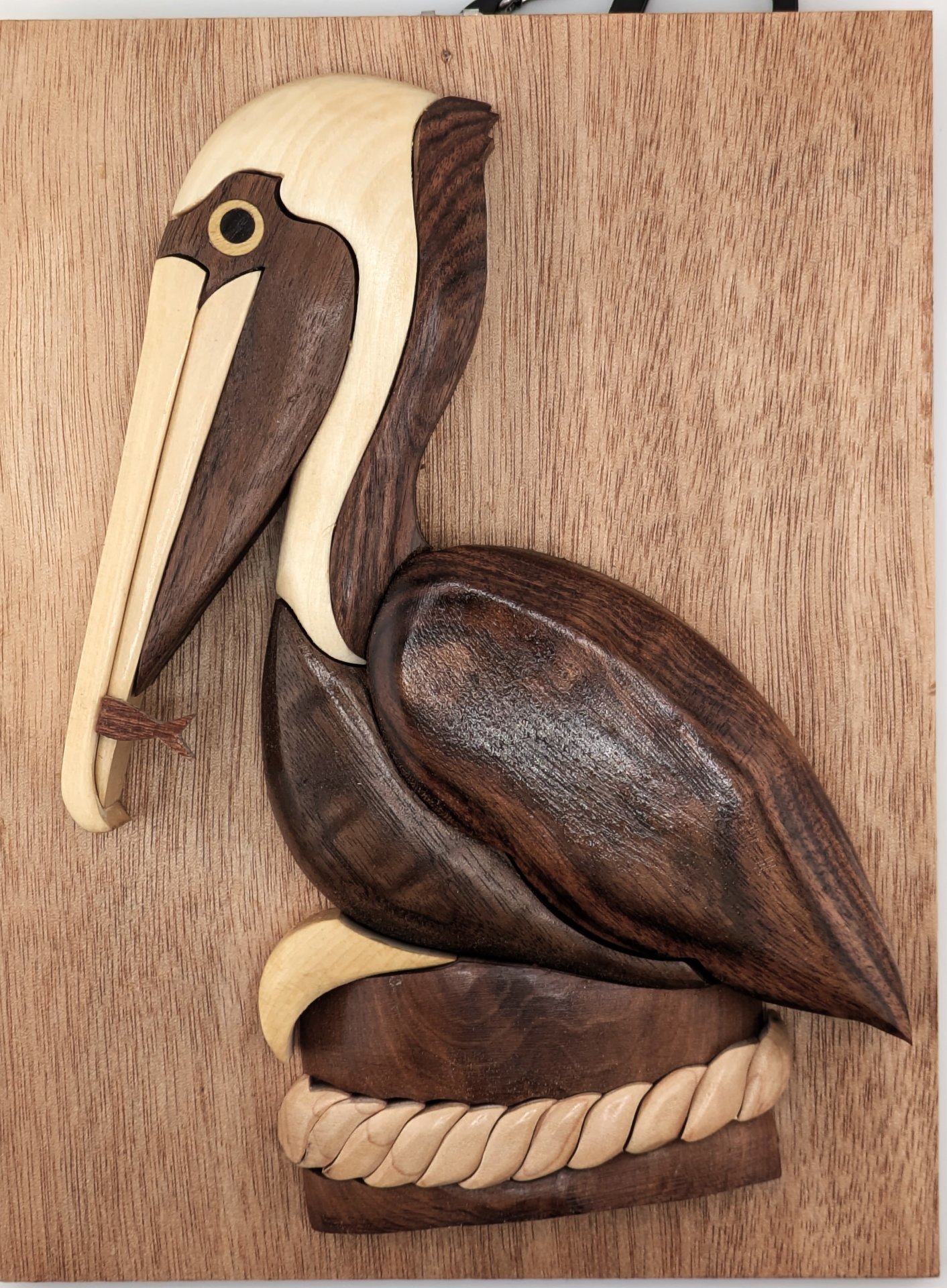 Pelican