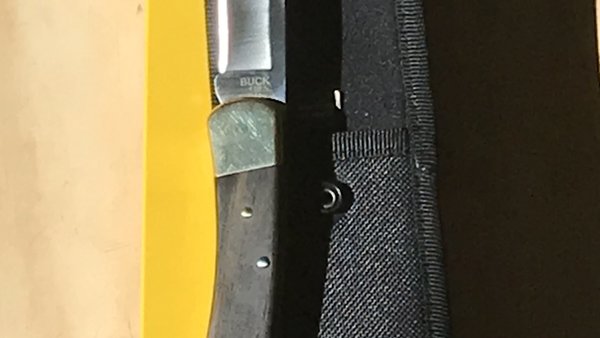 Model 110 Hunter Lockback Buck