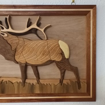 Elk